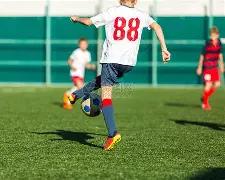 巴西甲,赛季主场积,分榜再起波,易币付app官网下载,易币付电脑版,易币付网页版