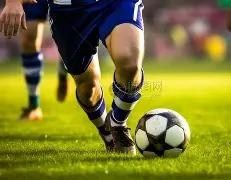 酒鬼酒第三,季度业绩双,营收净利同,易币付app官网下载,易币付电脑版,易币付网页版