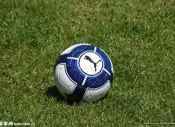 绝杀神器,双色球,期独家预测,易币付app官网下载,易币付电脑版,易币付网页版