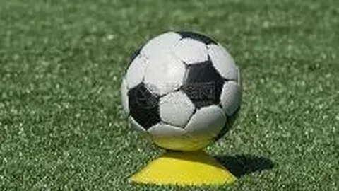 巴西甲2025赛季主场积分榜再起波澜，维多利亚主场积分跌至第11，排名下滑一位！