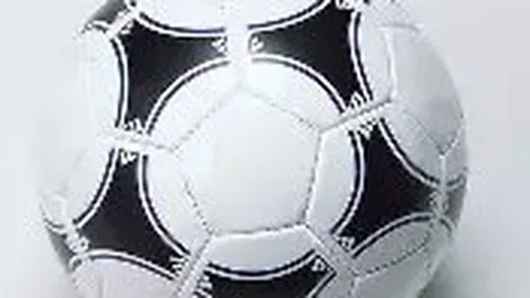 “足协启动男足国家队主教练选拔程序”