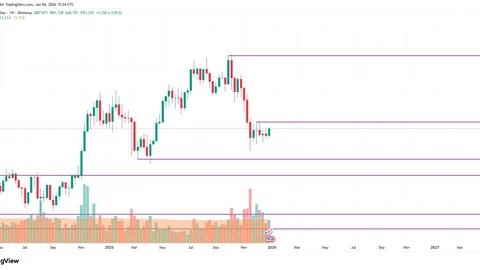 惊！意甲豪门瞄准亚洲防线新星，日本球员转会费高达2500万欧元