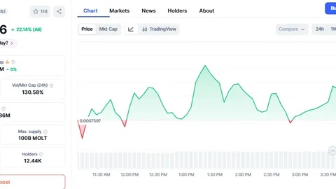 谷爱凌崇礼U型场地世界杯资格赛独占鳌头成功晋级